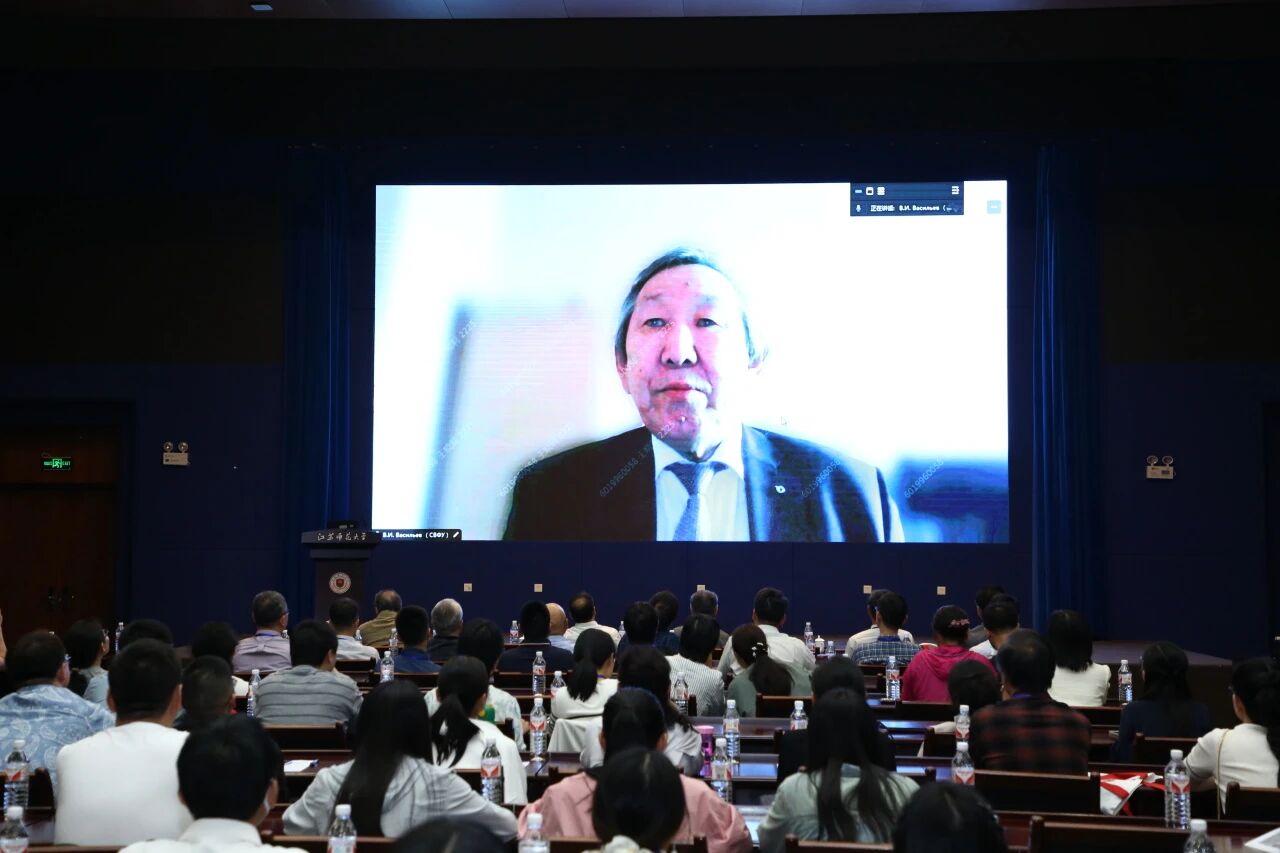 Prof. Vasiliev online speech